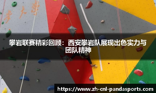 熊猫体育官方网站