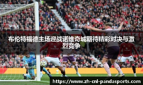 布伦特福德主场迎战诺维奇城期待精彩对决与激烈竞争